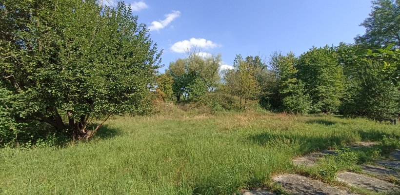 Investiční záměr na revitalizaci Červeňáku dostal od radních zelenou