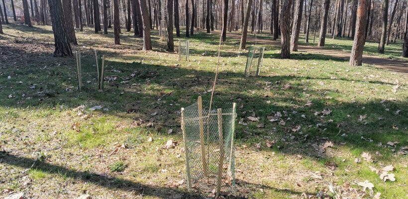 Dukelský lesopark čeká jarní úklid