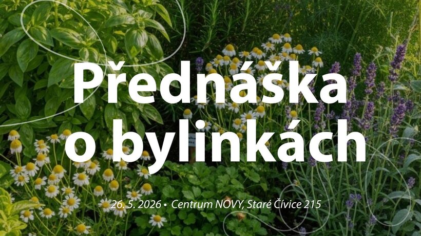 Přednáška o bylinkách