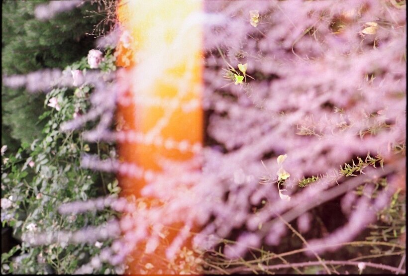 Zlatka a Hanuš Lamrovi: Jsme v zahradě