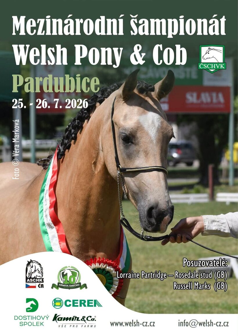 Mezinárodní šampionát Welsh Pony & Cob