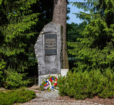 Jiří Potůček Forest Park