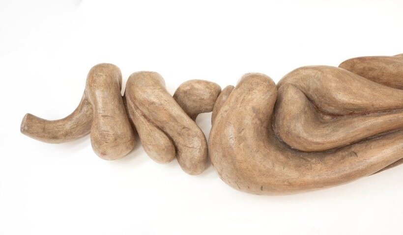 Stanislav Malý: Orchidej