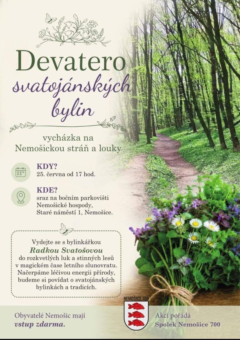 Devatero svatojánských bylin