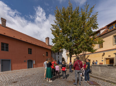 Mezinárodní den průvodců 2026 – Bezplatné prohlídky města