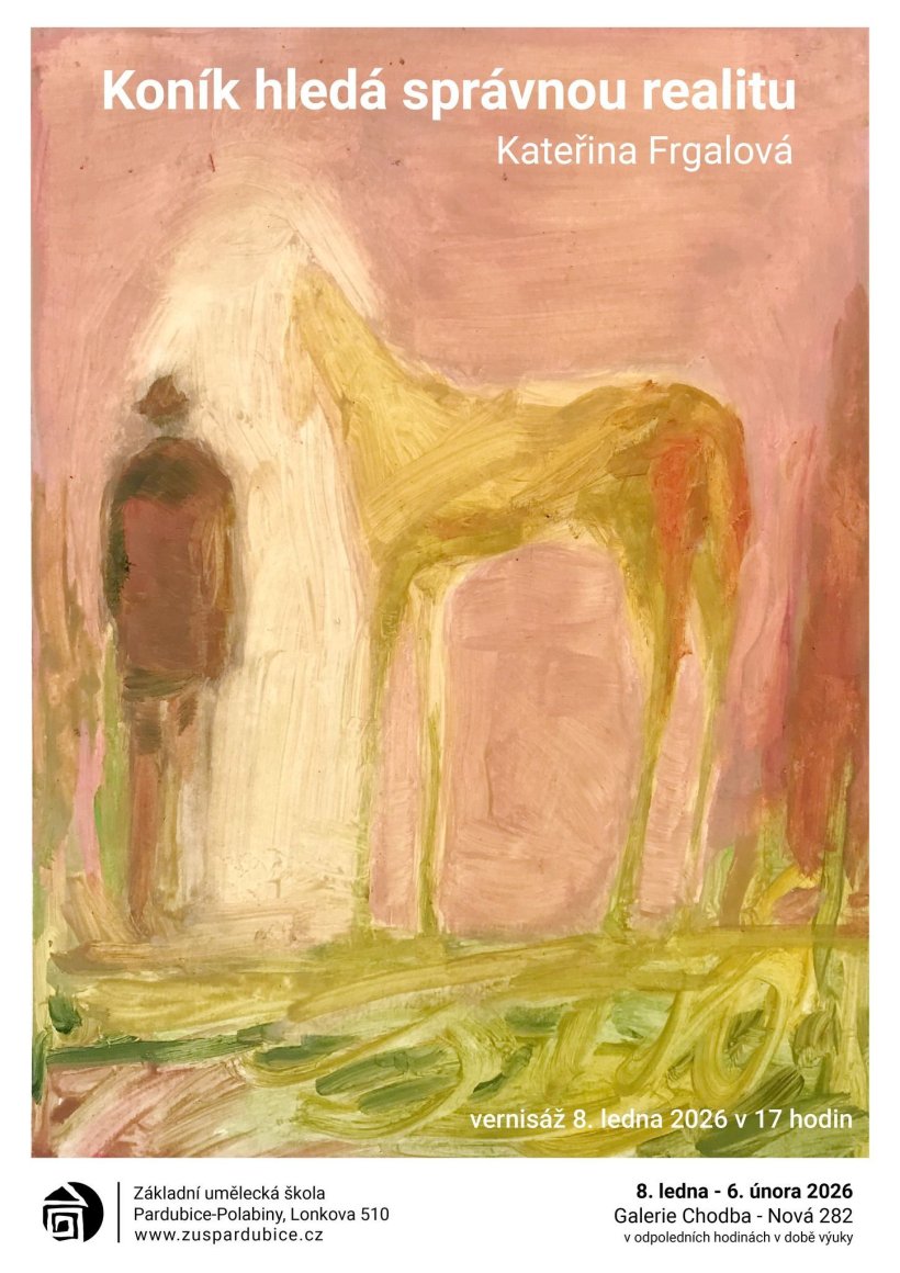 Koník hledá správnou realitu - Kateřina Frgalová