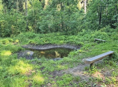 Od ochrany stromů po úsporu vody. Pardubice se hlásí k Týdnu pro klima