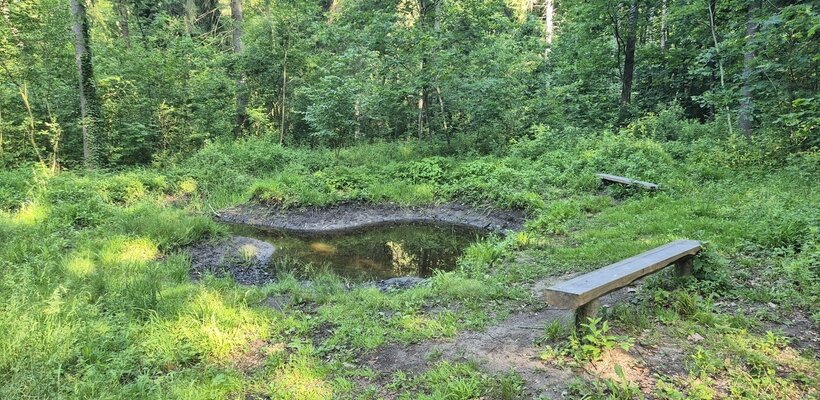 Od ochrany stromů po úsporu vody. Pardubice se hlásí k Týdnu pro klima