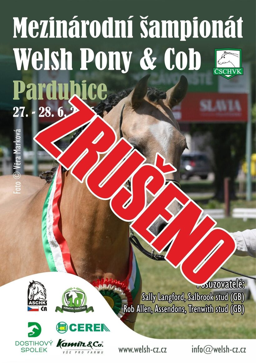 Mezinárodní šampionát Welsh Pony & Cob
