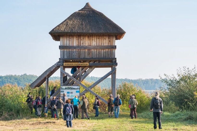 Festival ptactva Lázně Bohdaneč