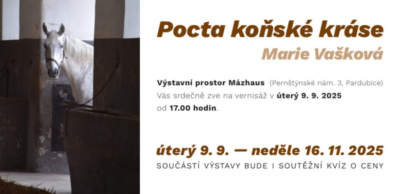 Pocta koňské kráse - Marie Vašková