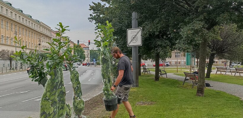 Smetanovo náměstí zdobí nové bobkovišně