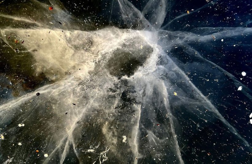 Martin Veselý: Struktury