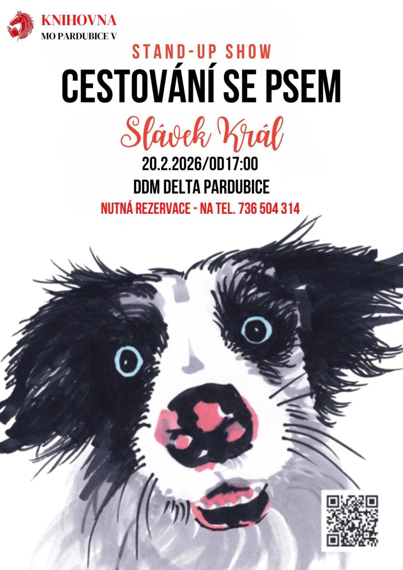 Slávek Král: Cestování se psem - Stand up show