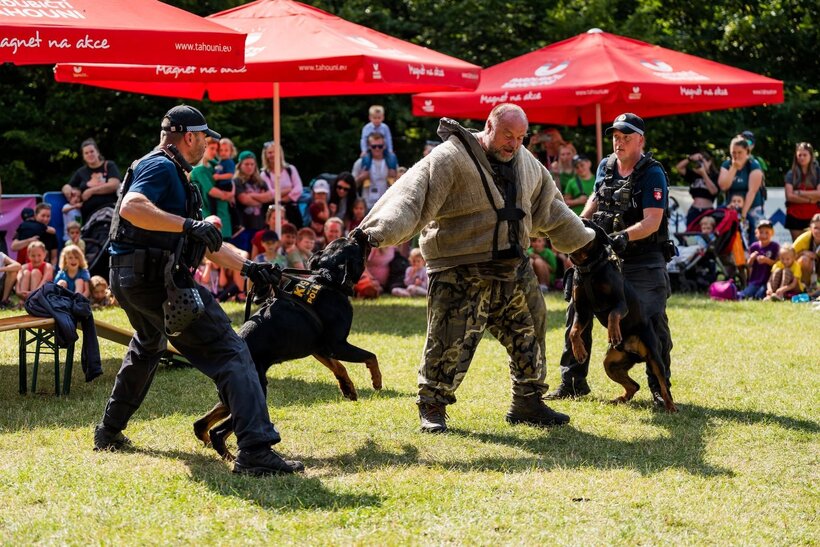 Den s Městskou policií Pardubice