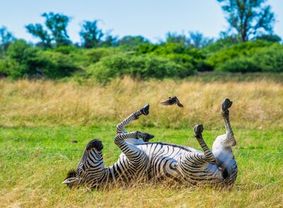Vydejte se s fotografem Petrem Janem Juračkou do Afriky, pomůžete tím lidem na vozíku