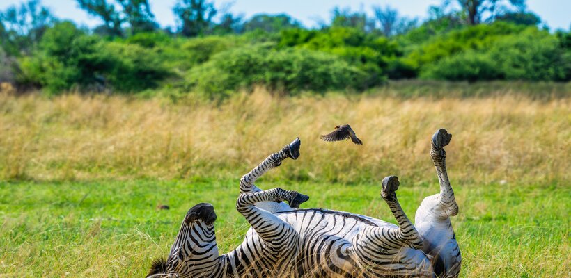 Vydejte se s fotografem Petrem Janem Juračkou do Afriky, pomůžete tím lidem na vozíku