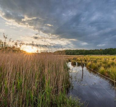 Nature Trails Around Pardubice