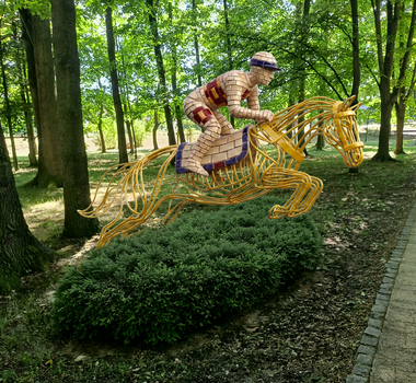 2. dělená cena Michal Trpák