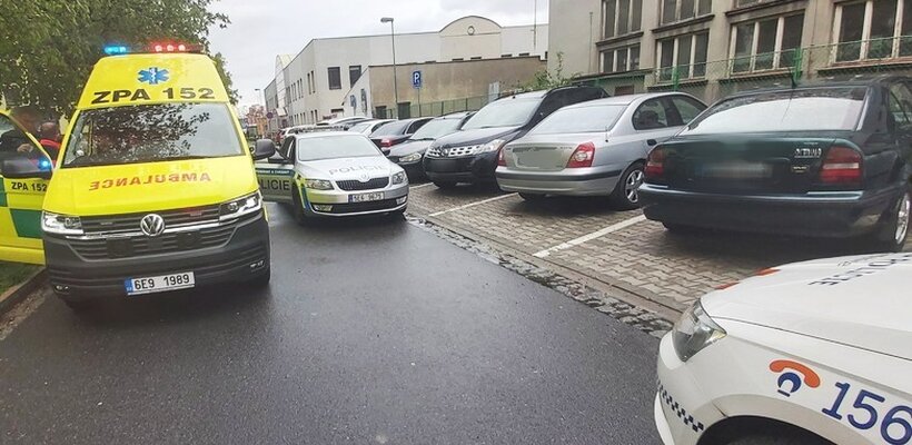 Auto se dvěma psy zaparkovala na chodníku. Opilá pak chtěla odjet domů; Po partnerce házel kamení, v poutech skončili nakonec oba