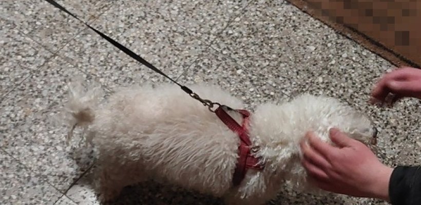 Zmatená žena, závislý syn, neutěšená situace. Pomoc od strážníků je jen začátek