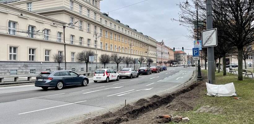 Preventivní pokácení keřů na Smetanově náměstí