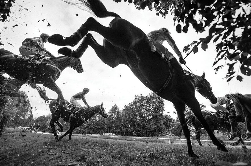 Miloš Fic: Pardubické dostihy