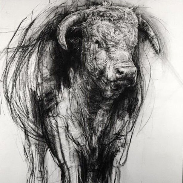 Zážitkový kurz - kdopak by se uhlu bál ?!