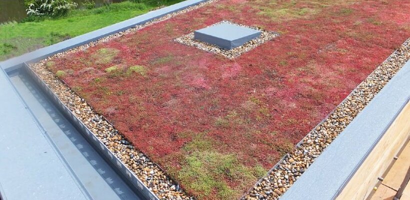 Pardubice startují pilotní projekt zelených střech