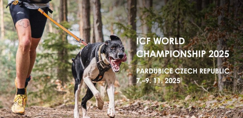 Na závodišti se místo koní proháněli psi. Pardubice hostily mistrovství světa v mushingu