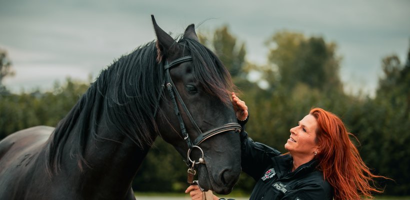 Ve stáji Městské policie Pardubice jsou opět čtyři koně