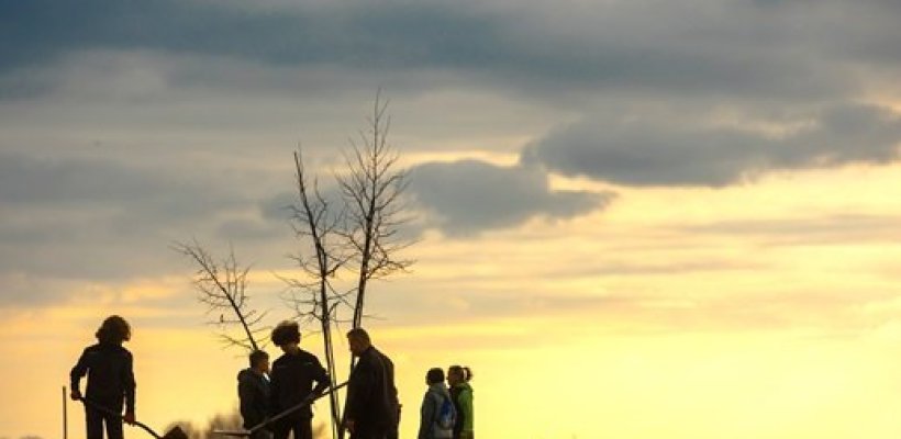 Alej Svobody v Nemošicích už stojí. Dobrovolníci vysadili 80 lip k 80. výročí konce války