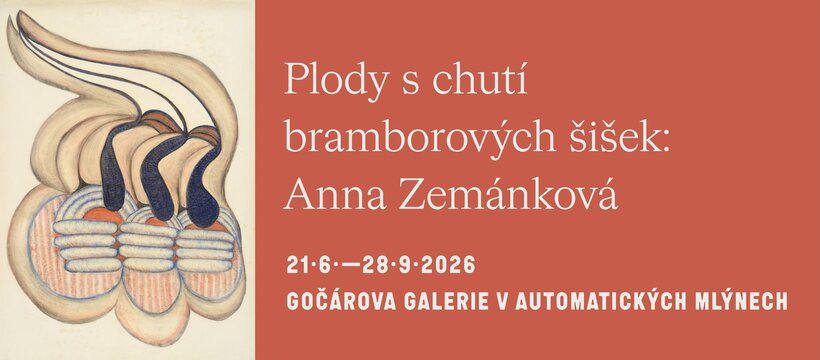 Plody s chutí bramborových šišek: Anna Zemánková