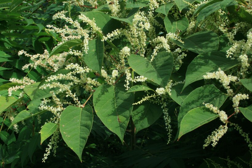 Muzejní akademie 2025/2026