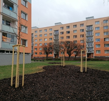 Nové výsadby na území Městského obvodu Pardubice III - jaro 2021