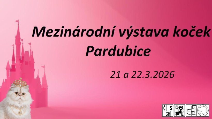 Mezinárodní výstava koček Pardubice