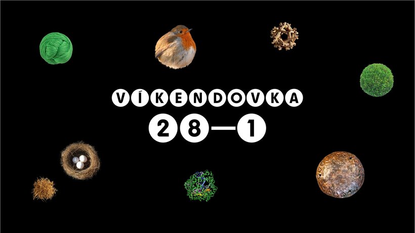 Objevujte, tvořte, zkoumejte: Víkend 28. února - 1. března ve SFÉŘE