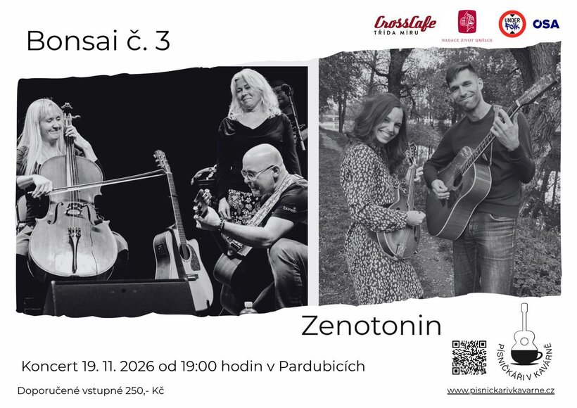 Bonsai č. 3 a Zenotonin