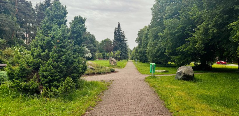 Radnice reaguje na stav dukelského arboreta