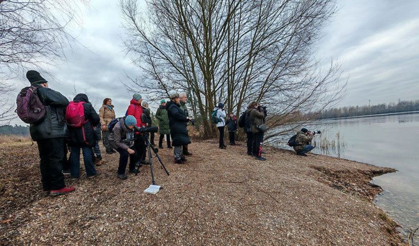 Ornitologická vycházka