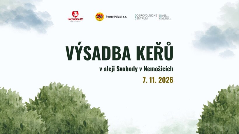 Výsadba keřů v aleji Svobody v Nemošicích