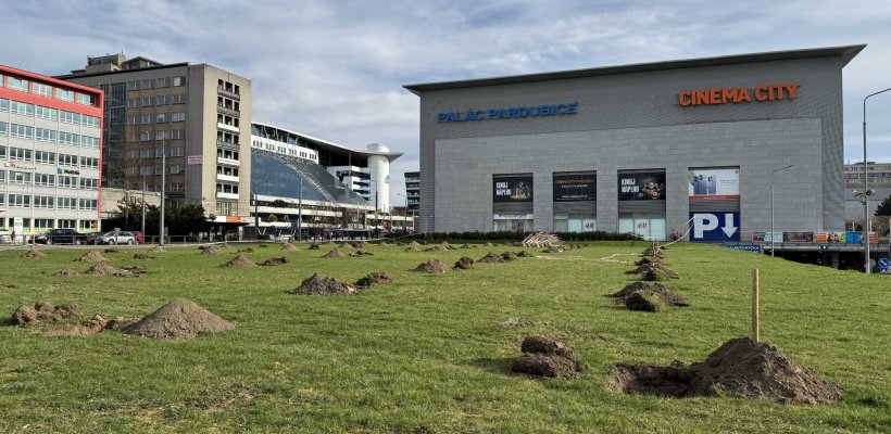 Začala výsadba nového okrasného sadu u Paláce Pardubice a polikliniky Kolf