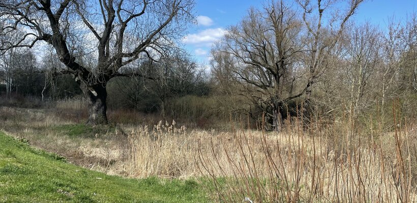 Radnice se zapojí do akce Ukliďme Česko