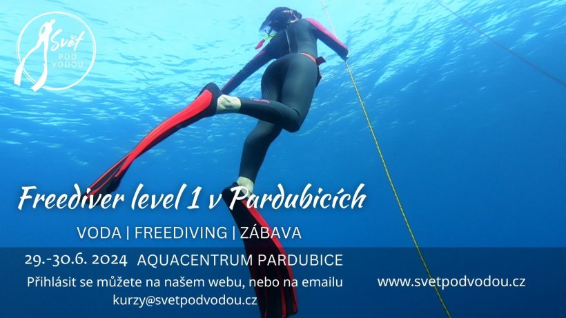 Freediver level 1