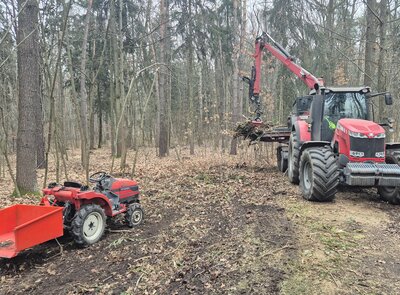 Péče o pardubické městské lesy pokračuje. Loni přibyly nové výsadby i napajedla pro zvěř