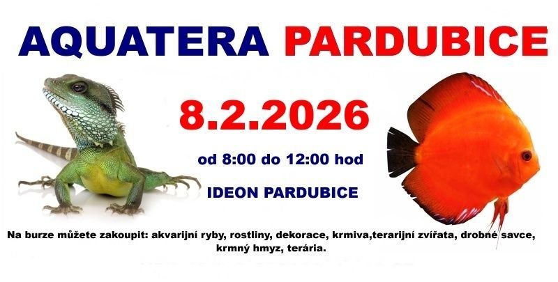 Aquatera Pardubice