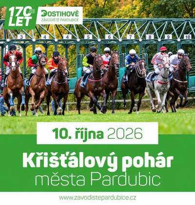 Křišťálový pohár města Pardubic