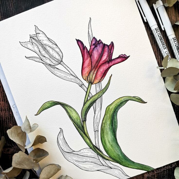 Krása tuše a akvarelu