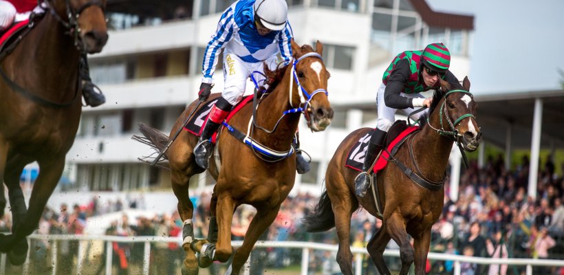 Závodiště nabídne divákům větší komfort a soutěžím špičkové parametry