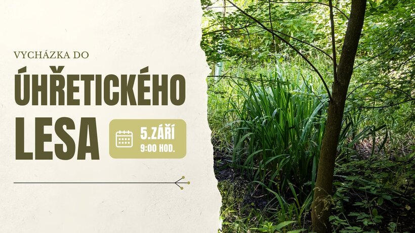 Vycházka do Úhřetického lesa